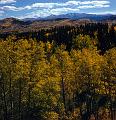 aspen 1